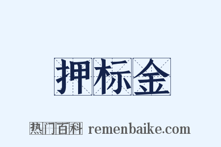 押标金是什么意思的图片